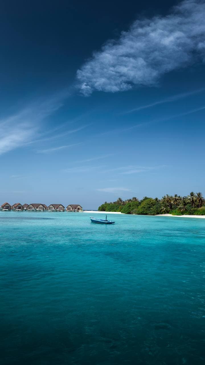 A traditional dhoni moored in a Maldivian lagoon off a palm-fringed island