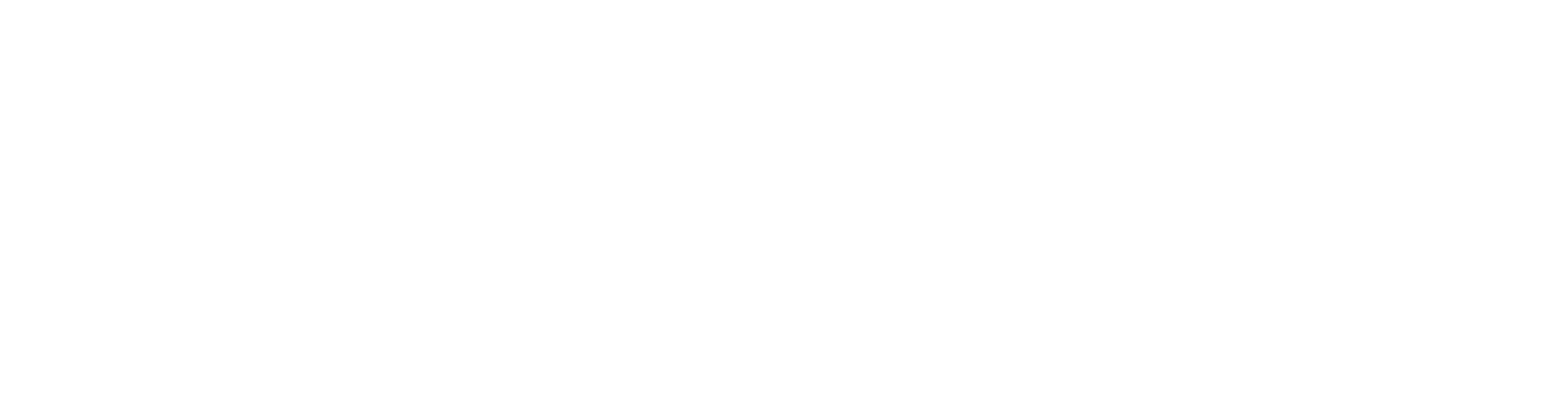 Flip Flop Traveller